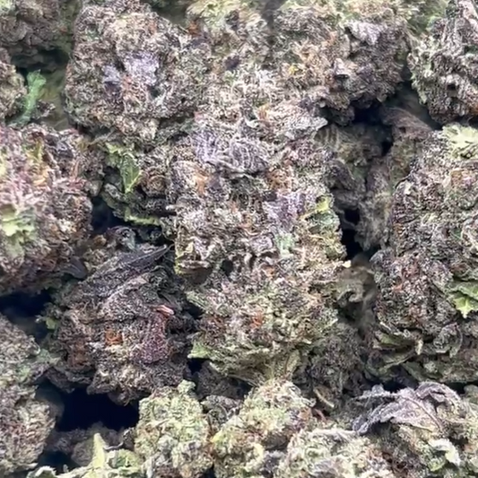 Hallie Berry 33.8% Thca