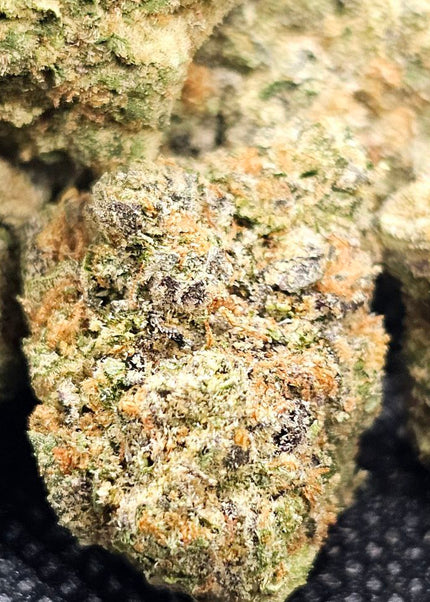 Black Forest Cake 31.08% Thca