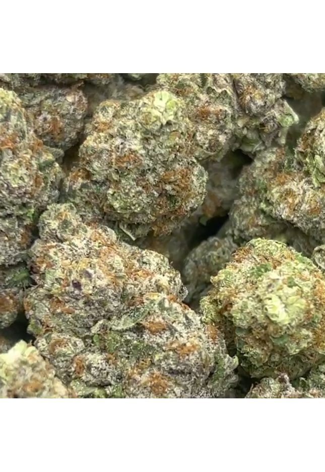bulk online sativa wholesale pricing 