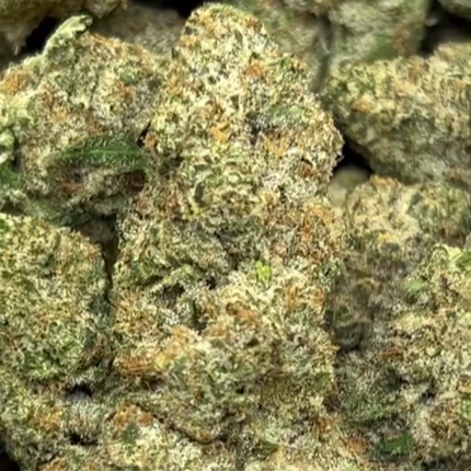 Nova 33.8% Thca