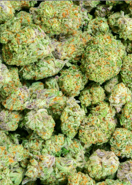Orange Creamcicle 28% THCa Bulk