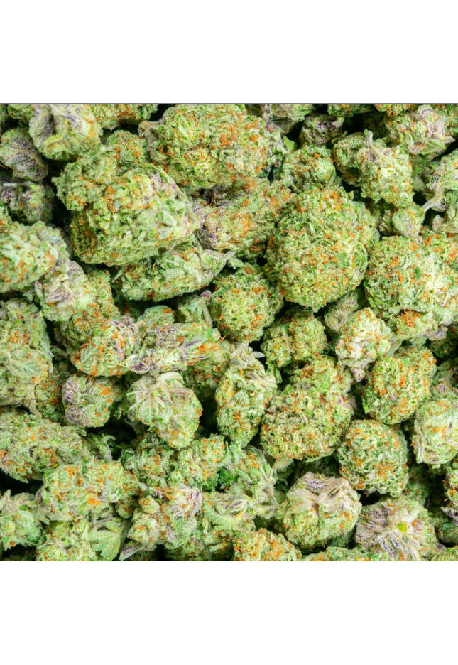 Orange Creamcicle 28% THCa