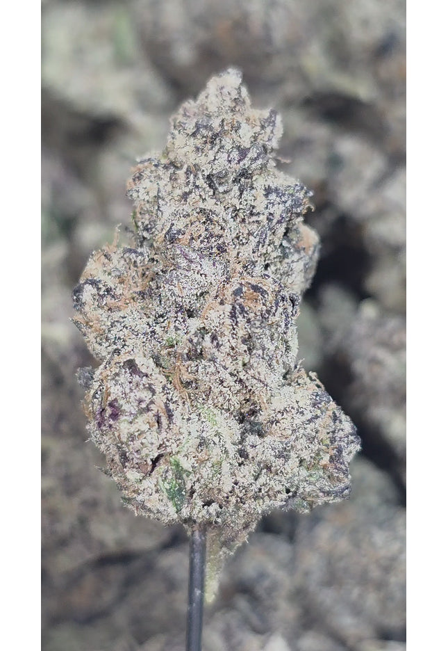 Cotton Candy  36%  Thca