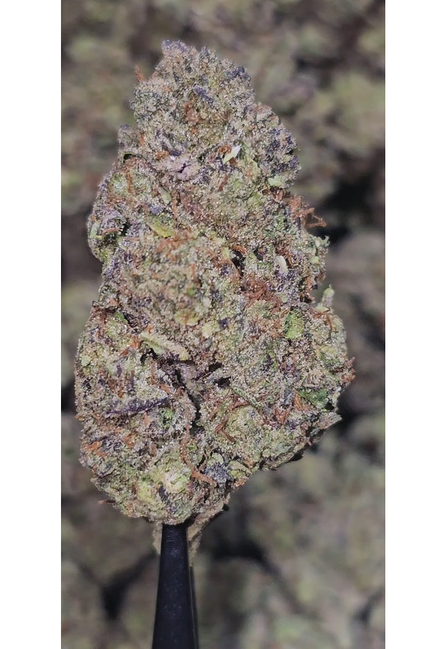 Garlic Ice Cream (GIC) 33% THCa Bulk
