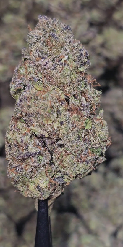 Garlic Ice Cream (GIC) 33% THCa