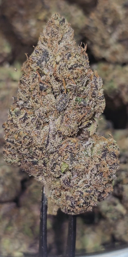 Blue Cheese 35% THCa