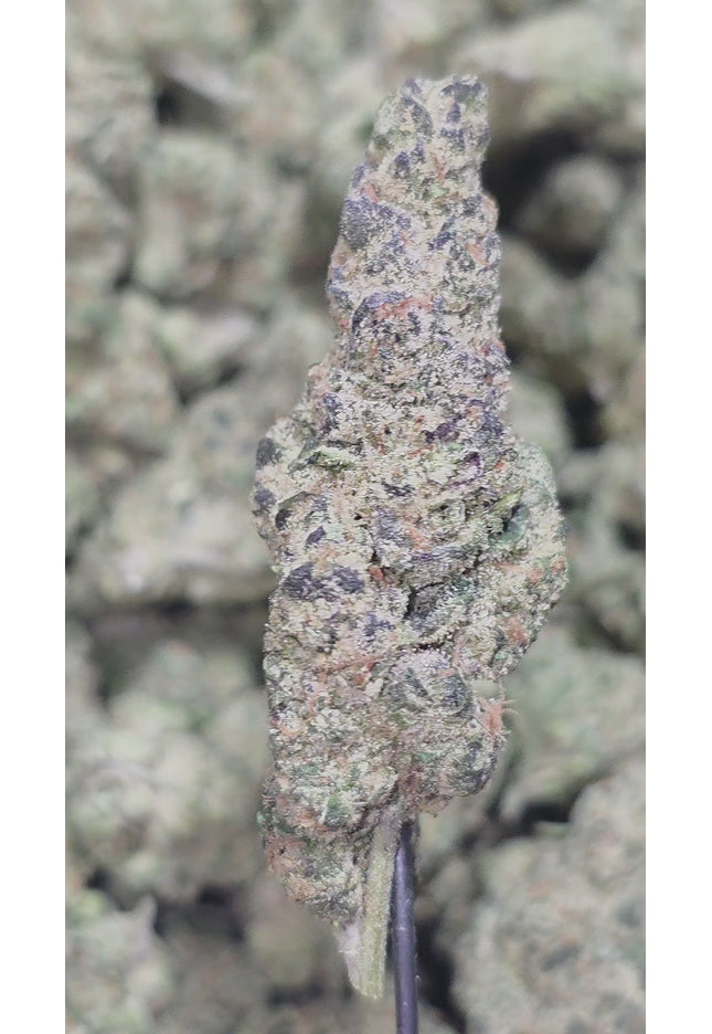 Cheetah Piss Med 35%  Thca Bulk