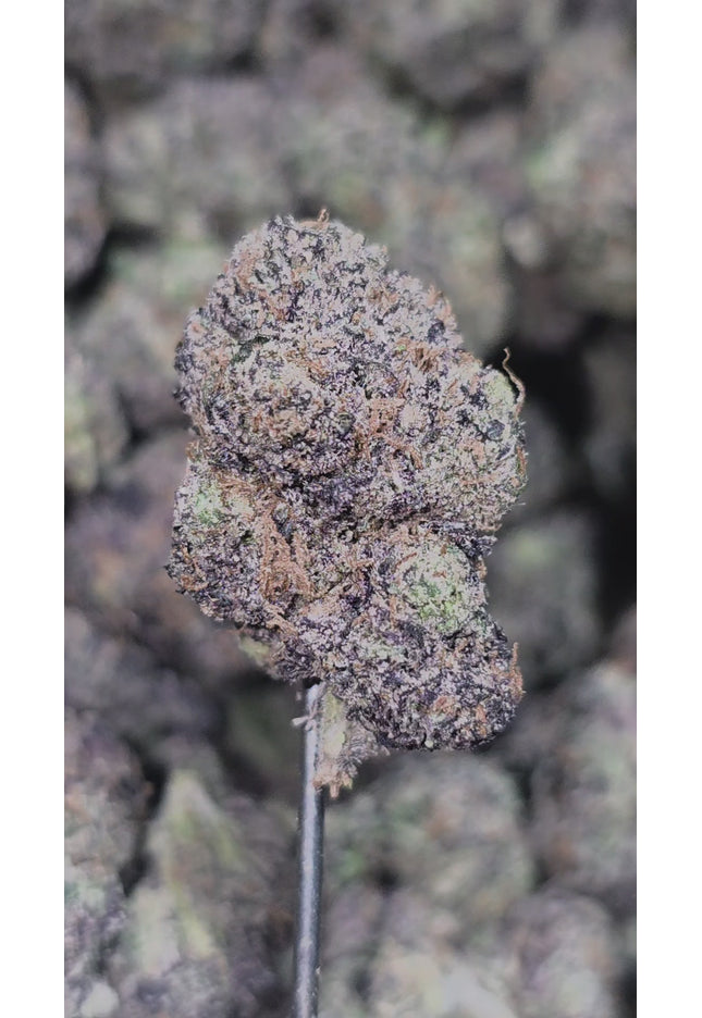 Purple Punch 35% THCa