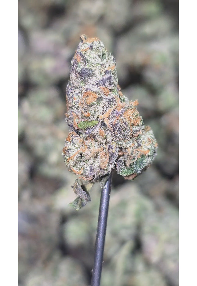 Black Bubba Med 36% THCA Bulk