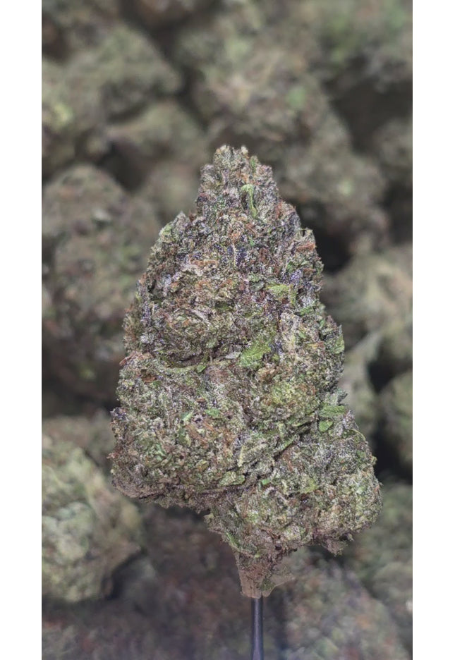 Blue Meteorite 34% Thca