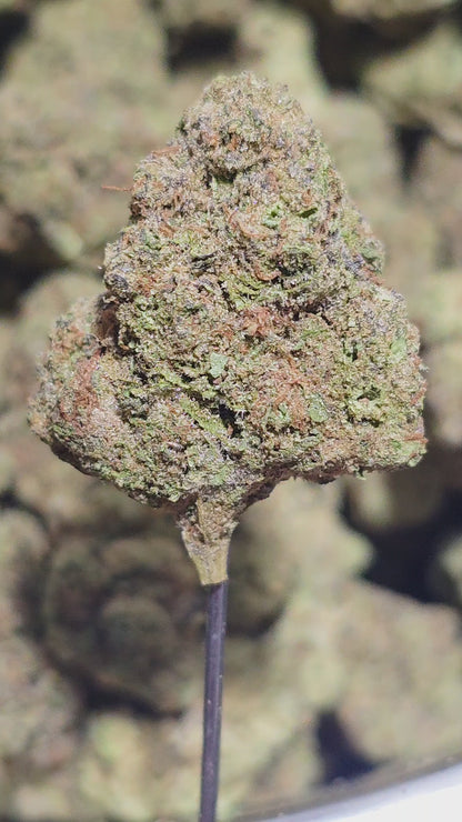 Ace Killa OG 32% Thca Bulk