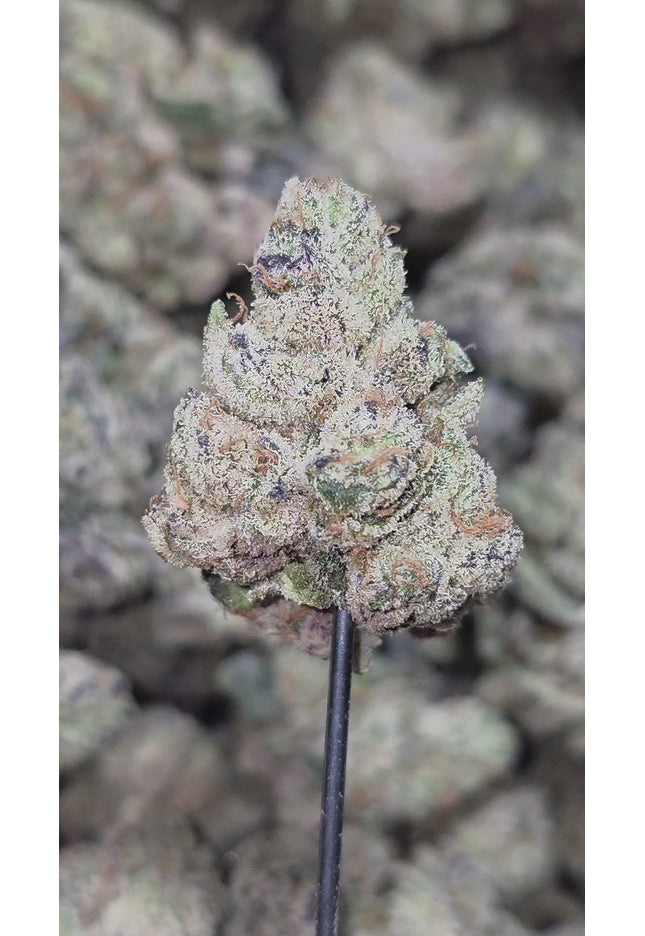 Private Reserve 35% Thca Bulk (New Grow)