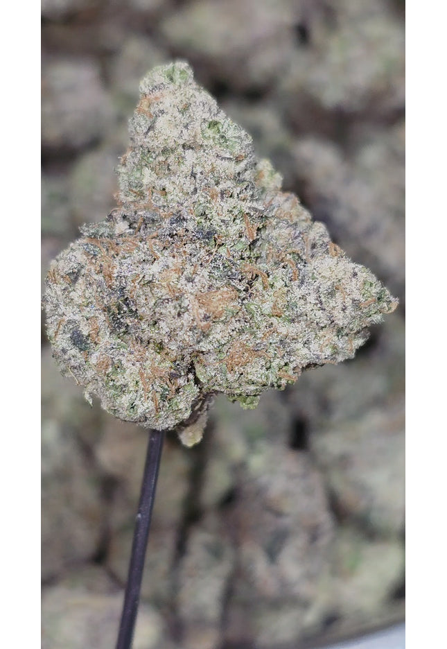 Legendary Lemon 36% Thca Bulk