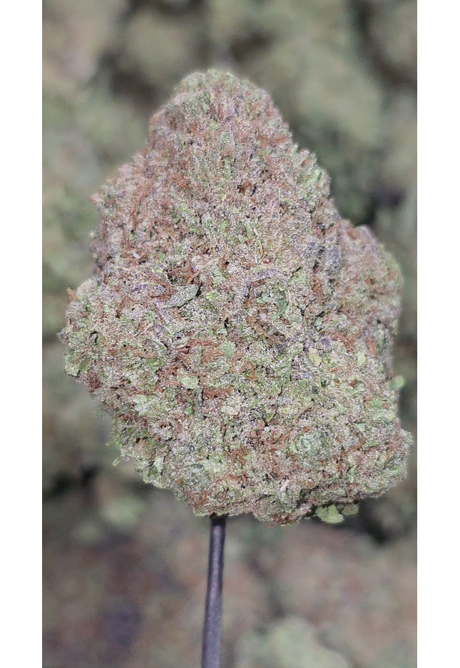 White Rhino 35% Thca Bulk