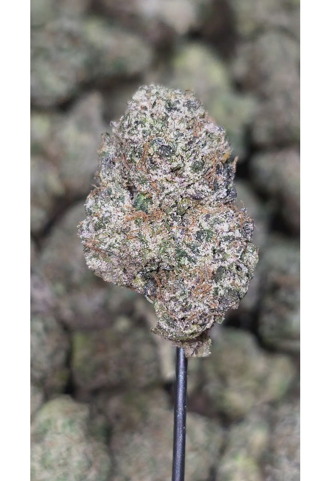 Texada Time Warp 35% Thca (RARE STRAIN)
