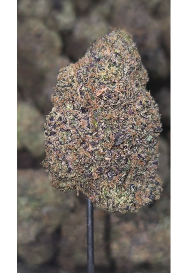 Hallie Berry 34% Thca