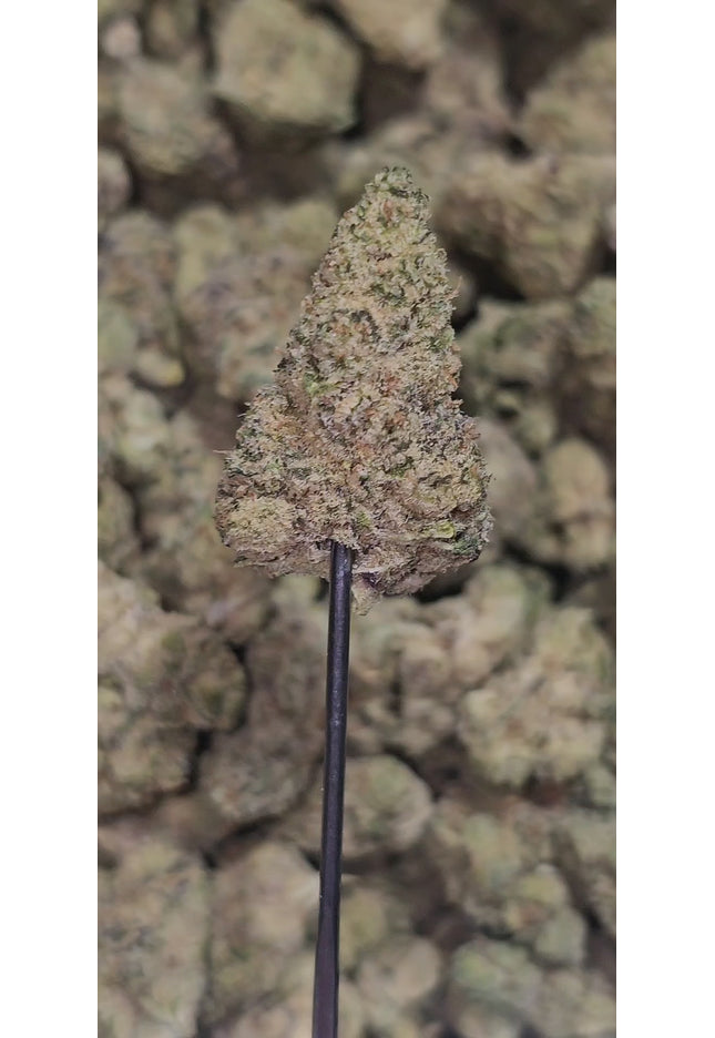 Peanut Butter & Jelly 34% THCA Mediums Bulk