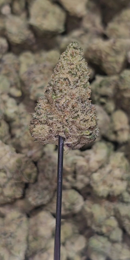 Peanut Butter & Jelly 34% THCA Mediums Bulk