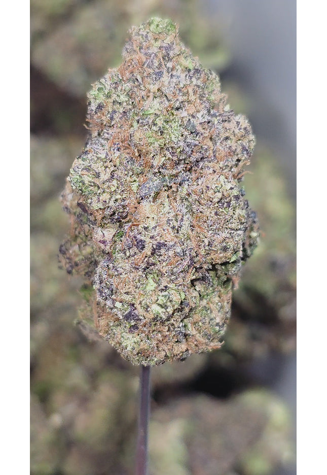 Star Killer OG 35% Thca