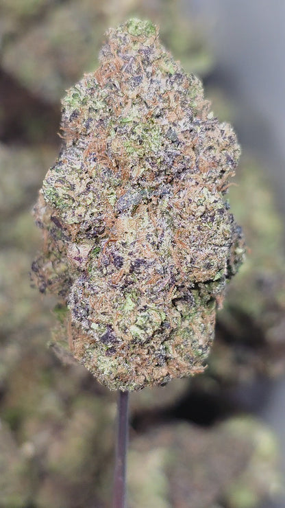 Star Killer OG 35% Thca