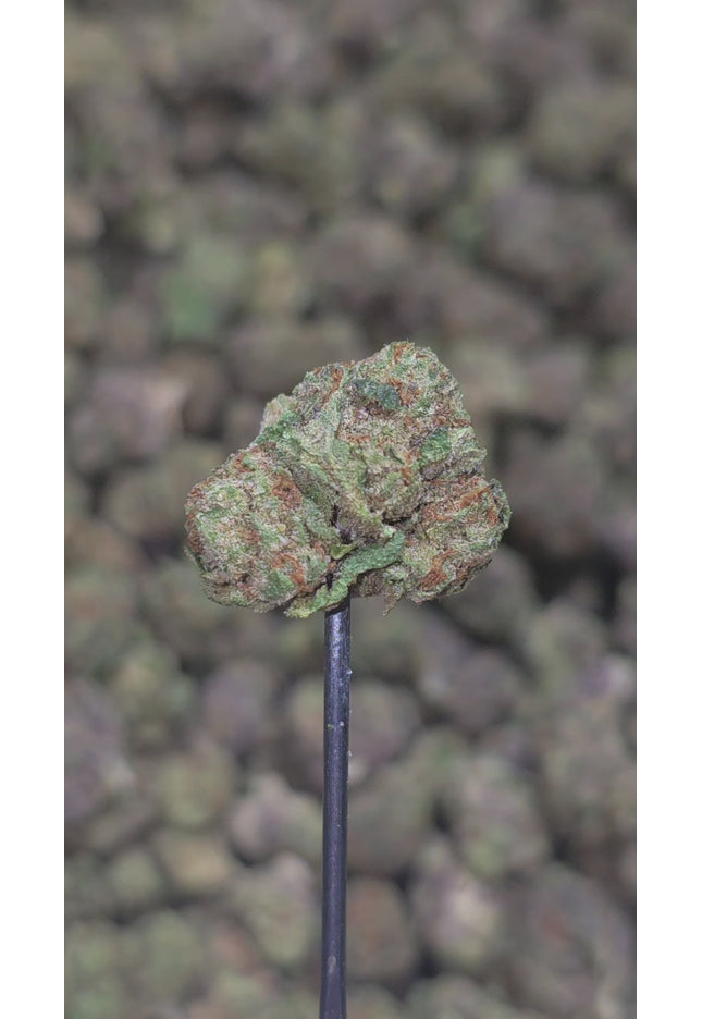 Alien Breath 29.8% Thca