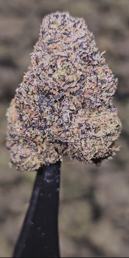 Black Bubba 36%