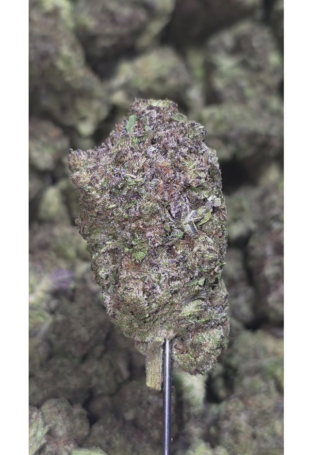 Hash Burger 33% THCa