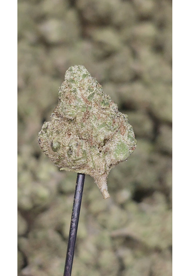 Fatso OG 33% THCA Smalls