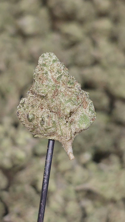 Fatso OG 33% THCA Smalls