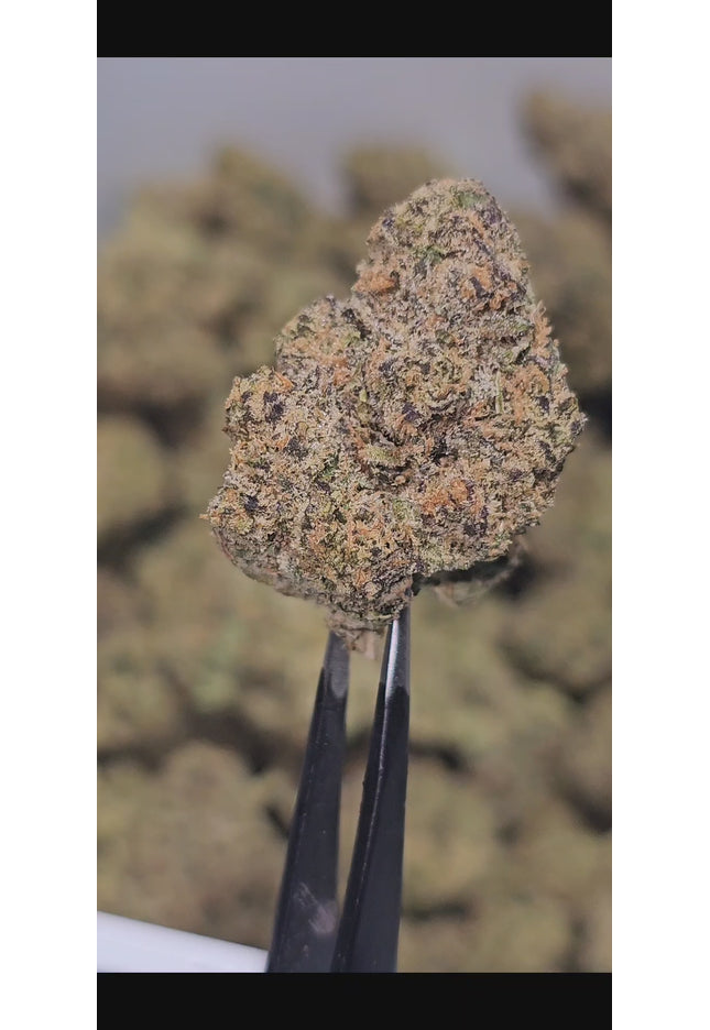 Gelato Float 30.9% Thca Bulk