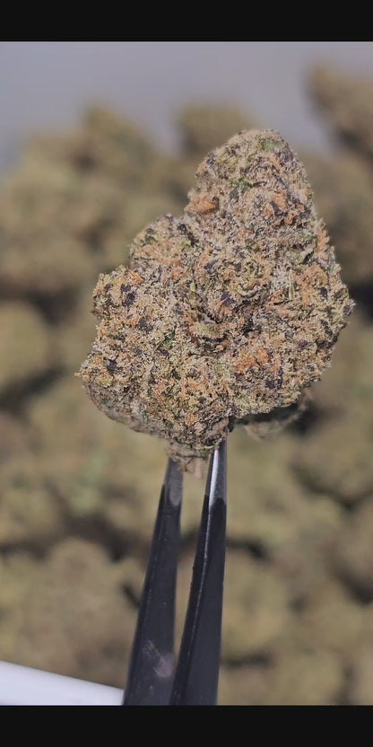 Gelato Float 30% Thca