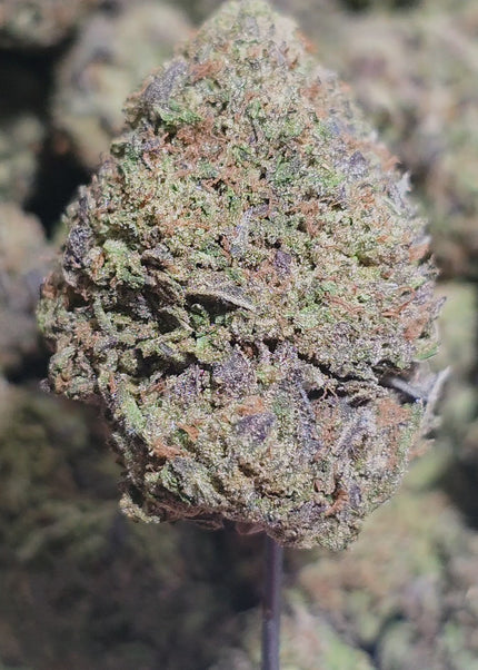THCa hemp exotic flower cheap bulk fast shipping