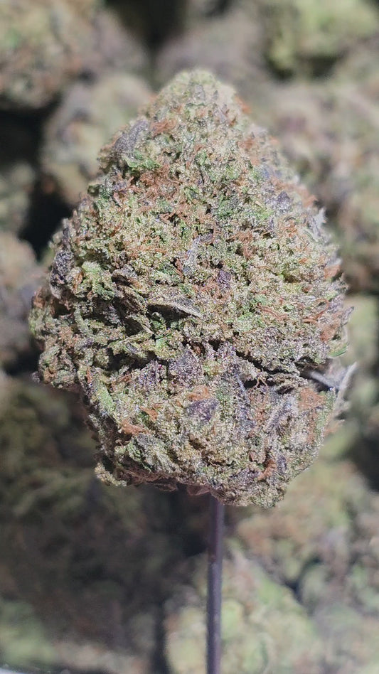 THCa hemp exotic flower cheap bulk fast shipping