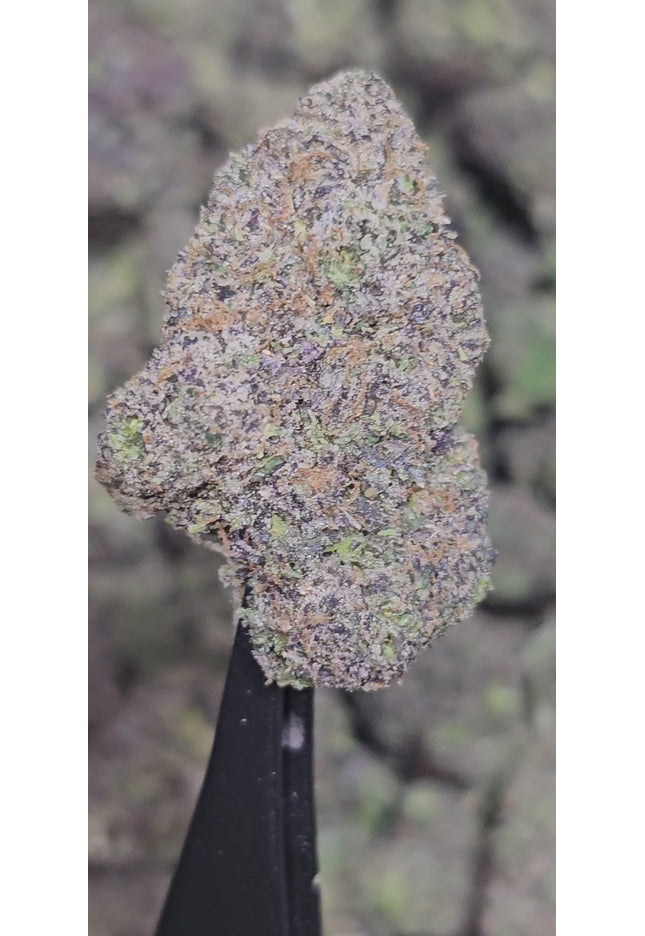 Space Runtz OG 36%