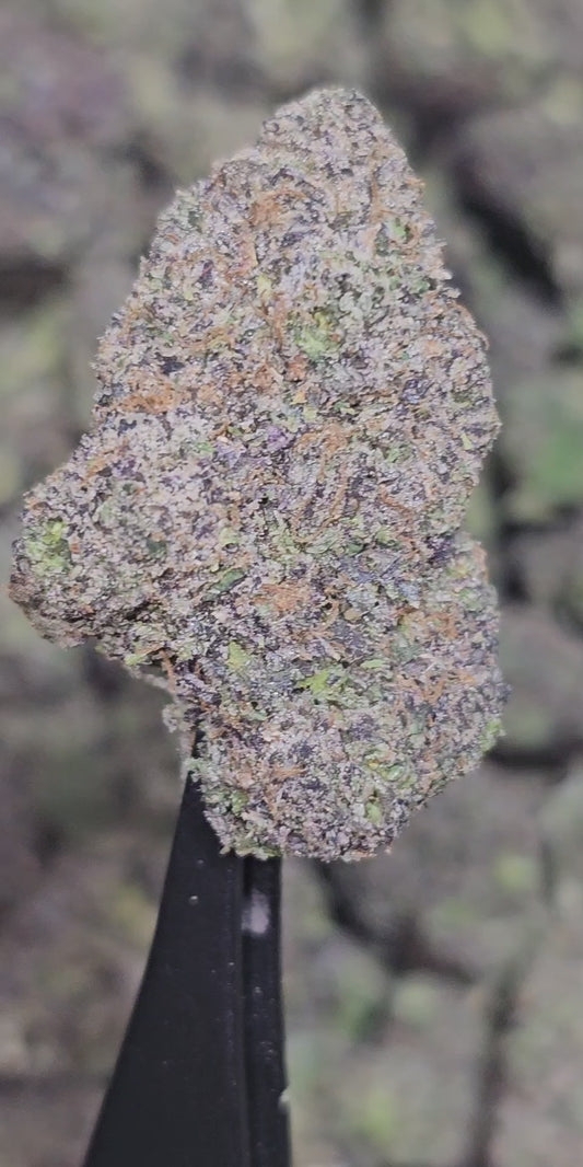 Space Runtz OG 36%