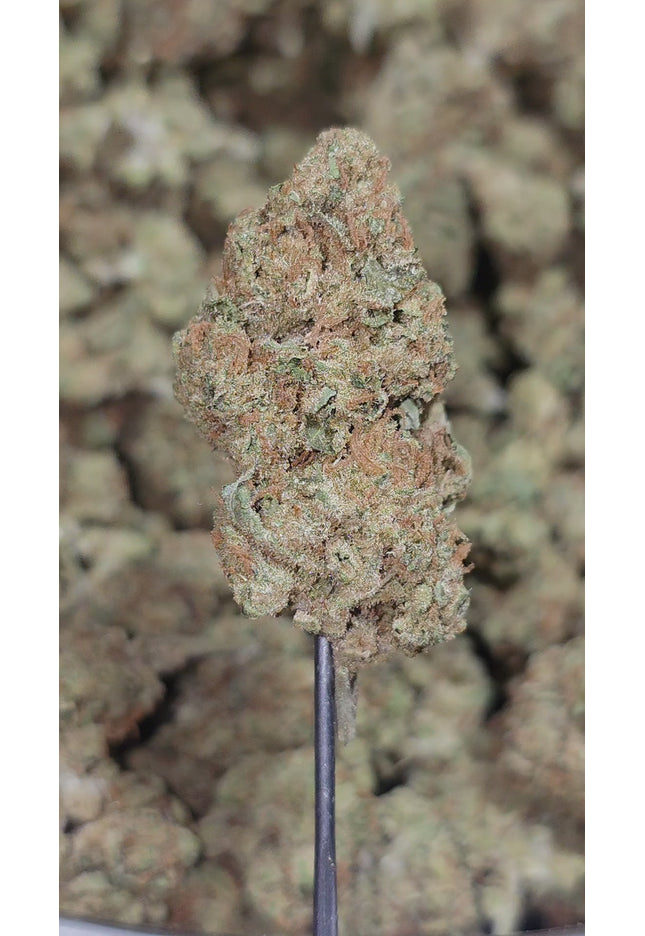 Fatso OG 33% THCA Bulk