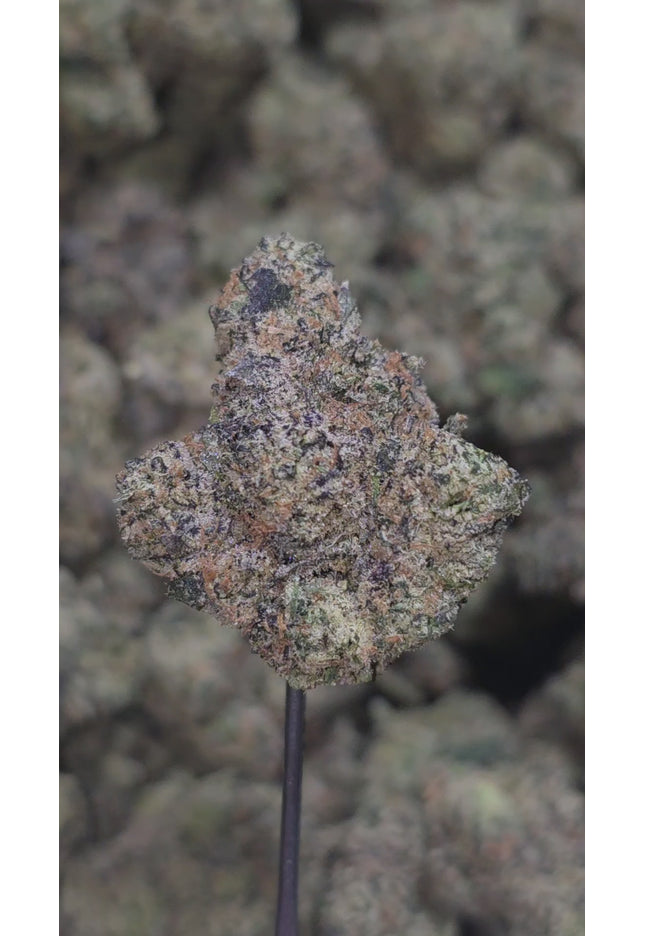 Rainbow Gasoline 35% Thca (RARE STRAIN) New Grow