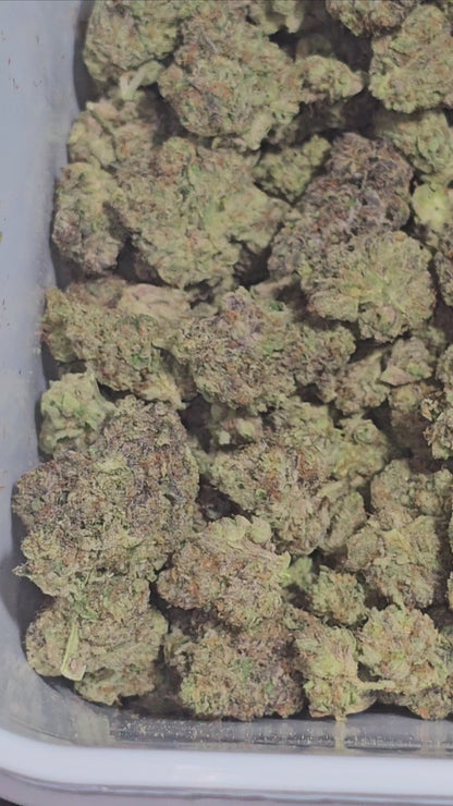 Mardi Gras Mambo OG 34% THCa