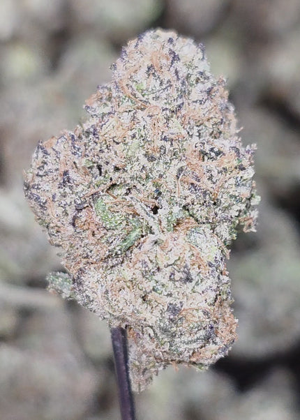 THCa hemp exotic flower discount buy pounds online
