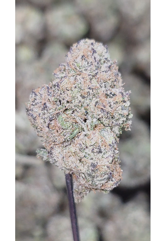 THCa hemp exotic flower discount buy pounds online