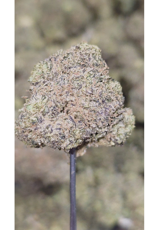 Gushers 35%  Thca