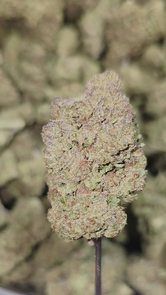 Purple Sunset 33% THCA