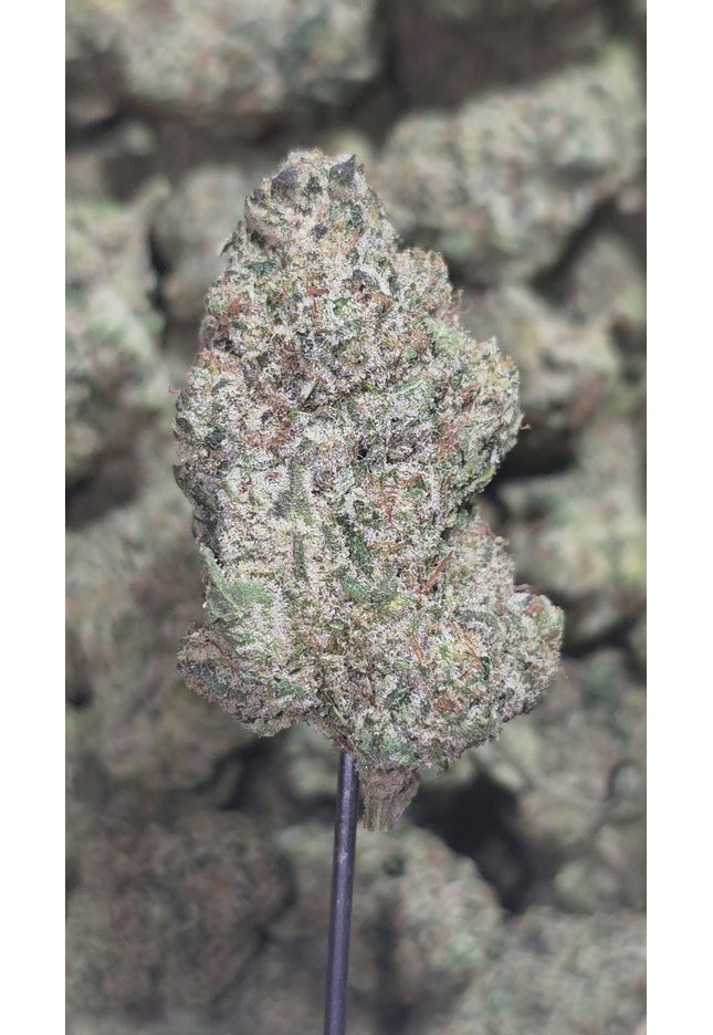 Head Band 34% Thca Bulk
