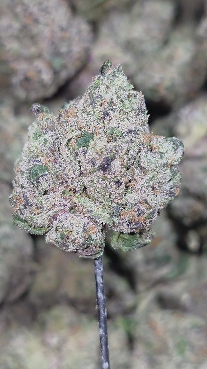 Gorilla Glue 36% Thca Bulk