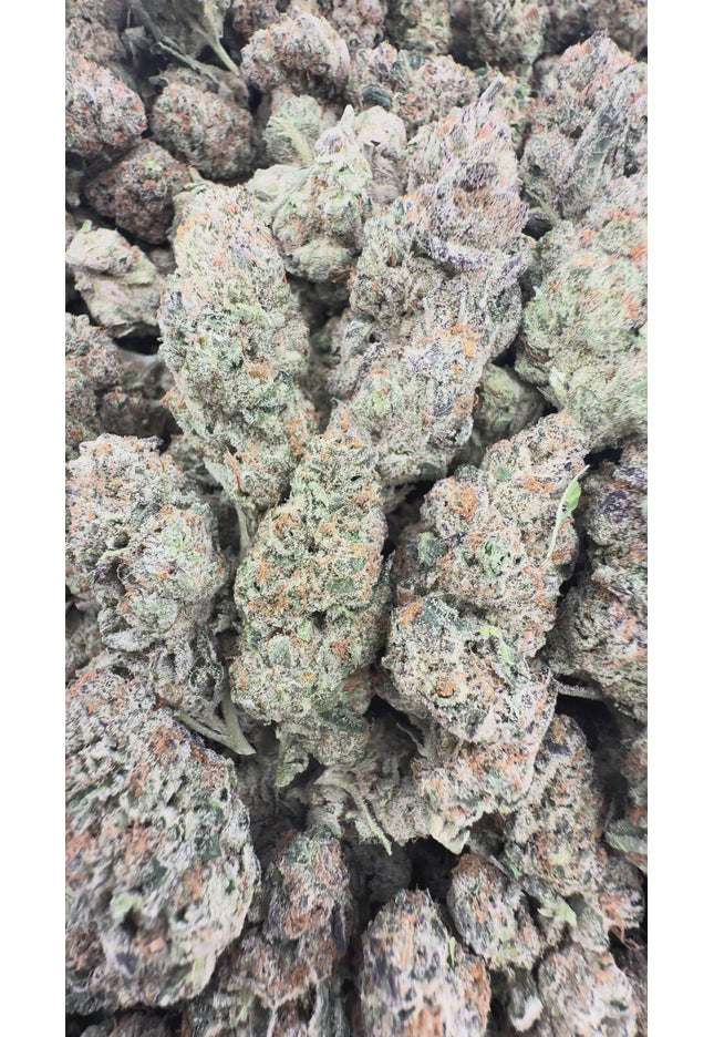 Elektra 34 % Thca Bulk