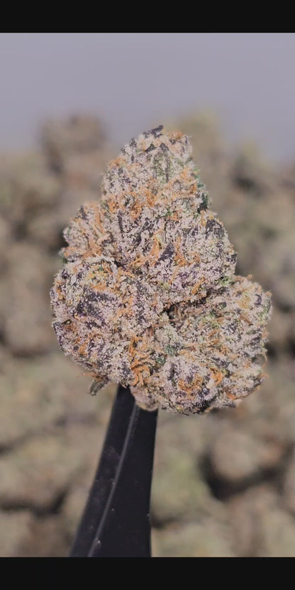 Strawberry Cough 35% THCa