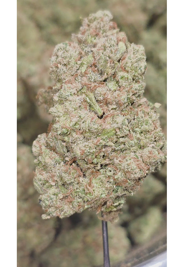 Pushpop 35% Thca BULK