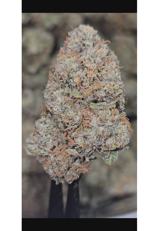 Laughing Gas 34% Thca Bulk