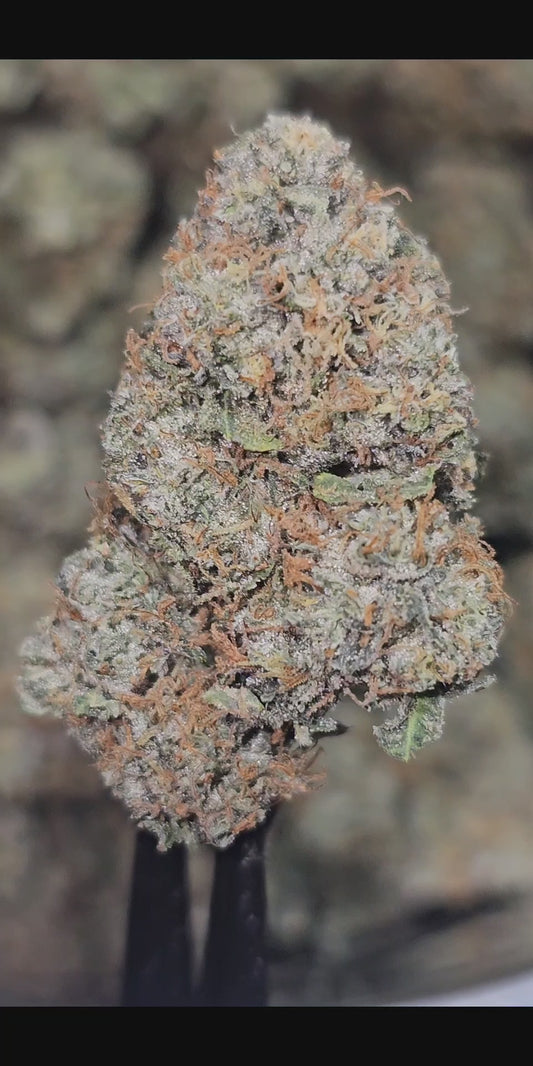 Laughing Gas 34% Thca Bulk