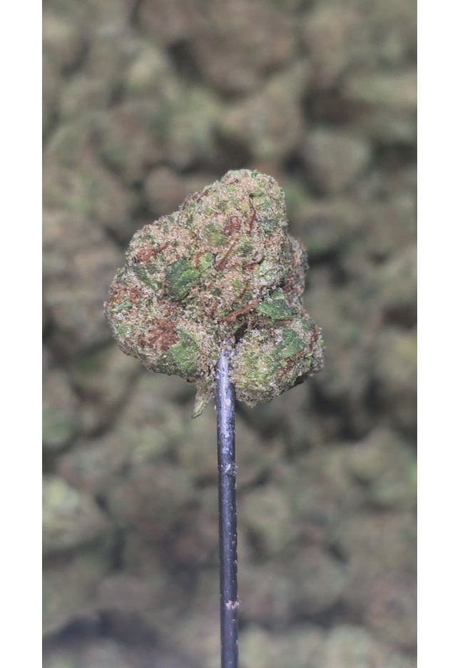 Skywalker OG Smalls 33% THCa Bulk